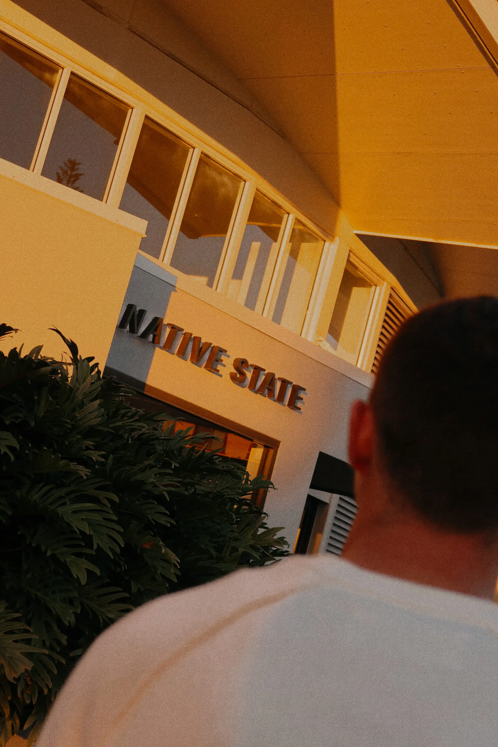 Native State